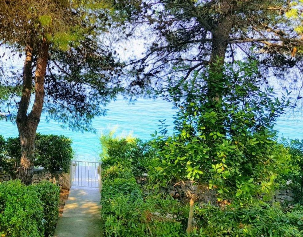 Maja Trogir